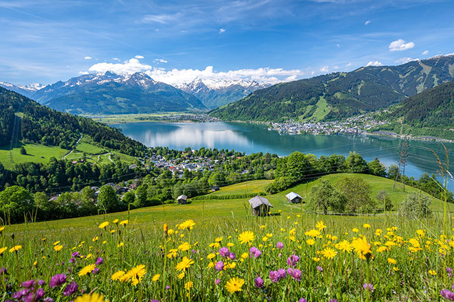 The Swiss Summer Schedule