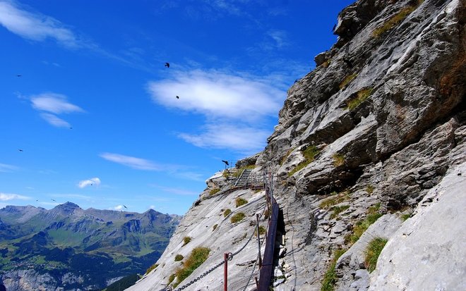 The IIP top 5 mountain hikes