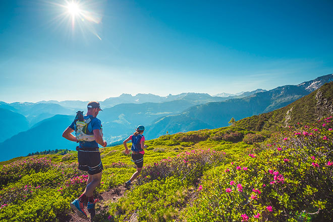 Summer in The Alps - What's On?